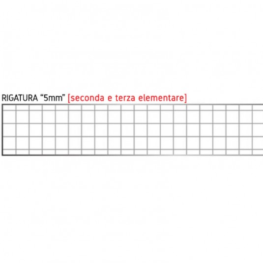 Quadernone A4 Tinta Unita - Quadretti 5mm + Margine