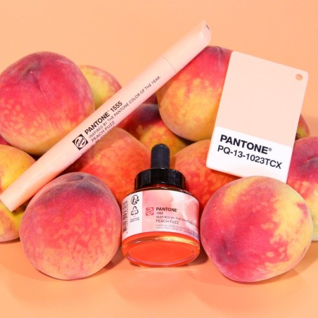 Talens EDIZIONE LIMITATA Inchiostro Pigmentato Pantone Peach Fuzz Royal Talens, Colore dell'anno 2024